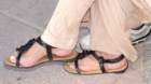 dsc_0540_2_small.jpg