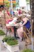 dsc_0625_1_small.jpg